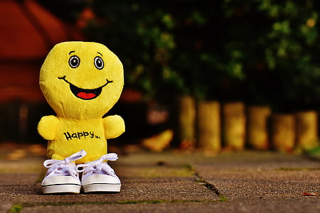 yellow character plush toy and pair of white low-top shoes