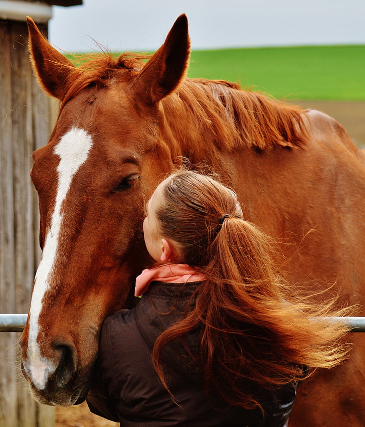 girl kissing brown horse