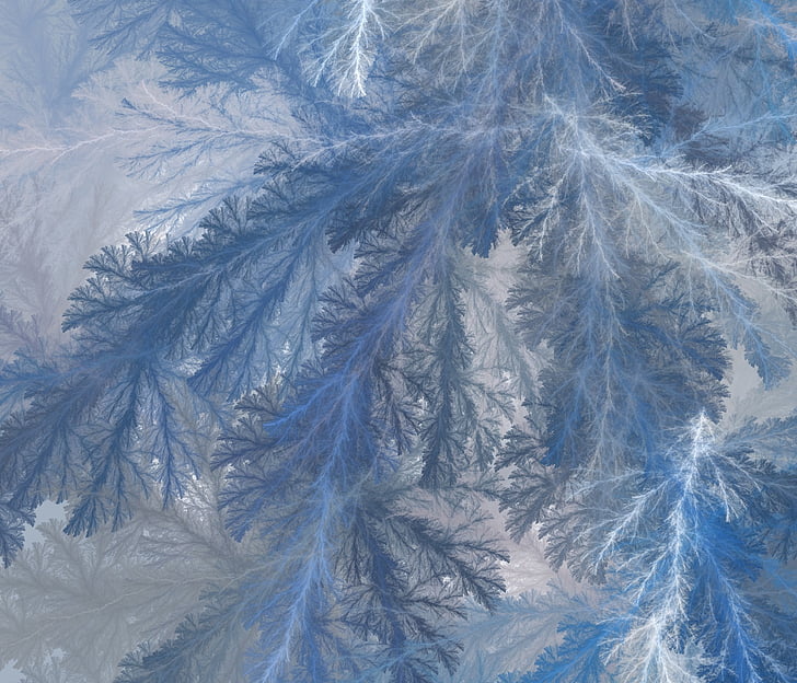 closeup photo of frozen tree