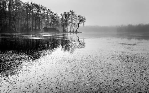 grayscale body of water
