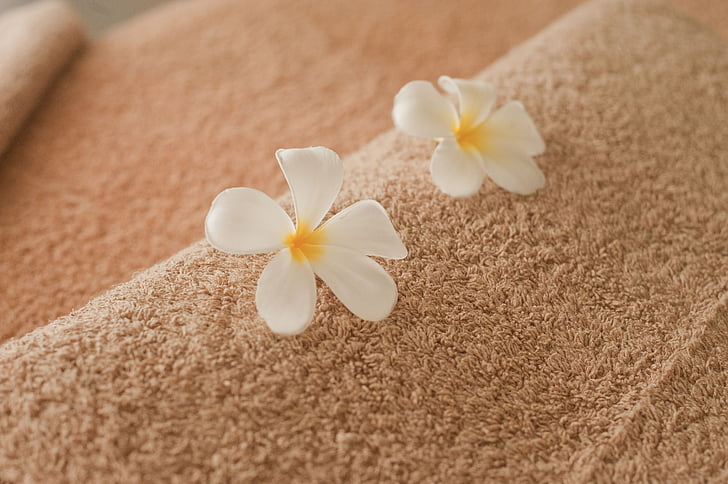two white 5-pelted flowers on brown textile