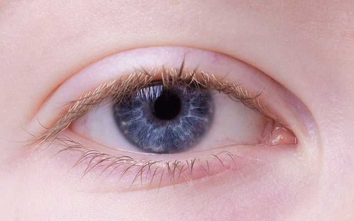 close-up photo of person's eye