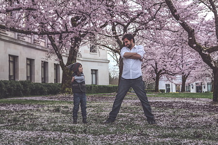 man and boy standing under Sakura trees