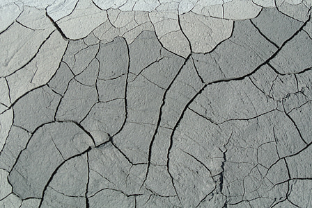 gray cracked soil