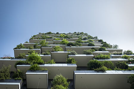 high-angle photography of building with green plant lot