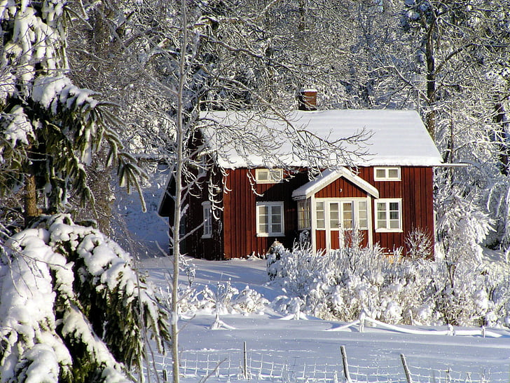 red and white house surrounded by snow