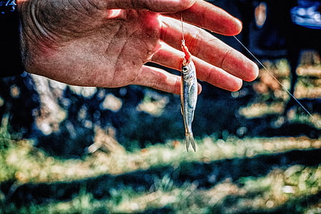 person holding fish lure