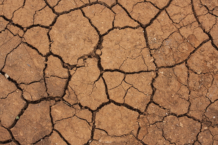 dry soil at daytime