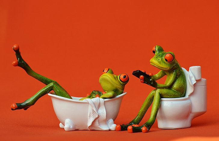 two green frogs in bathtub and toilet bowl