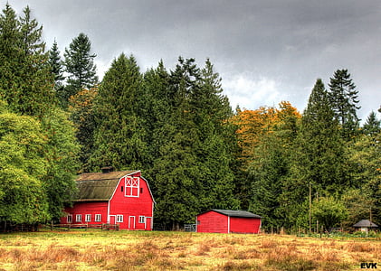 red barn surrounded by trees