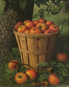 red apple fruit on basket painting