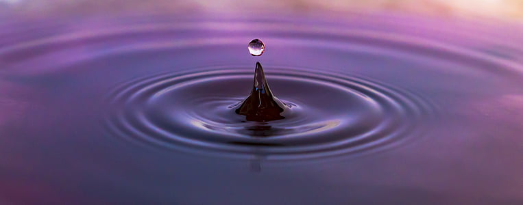 selective focus photography of water drops