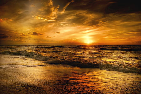 seashore photo during sunset