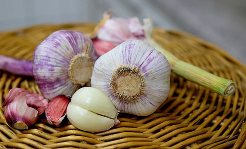 bulb of garlic on wicker brown basket