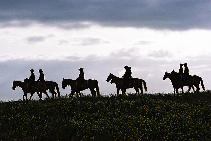 silhouette of seven people riding on horses