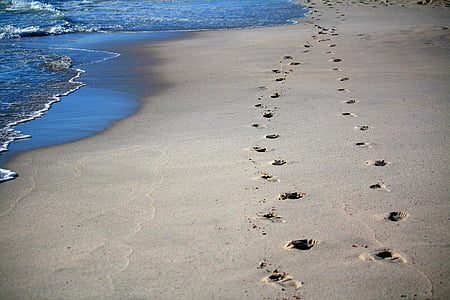 footprint on sea shore