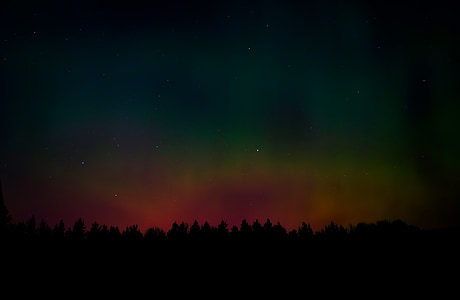 silhouette photo of trees with aurora