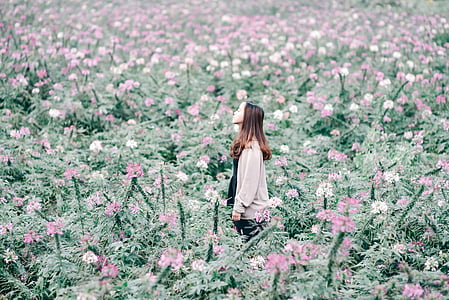woman standing on pink flower field