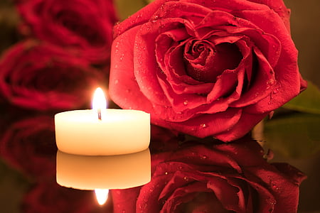 white tealight candle besides red rose