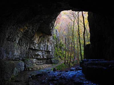 cave entrance near green leaf foresst