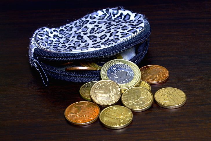 euro coin collection near purse