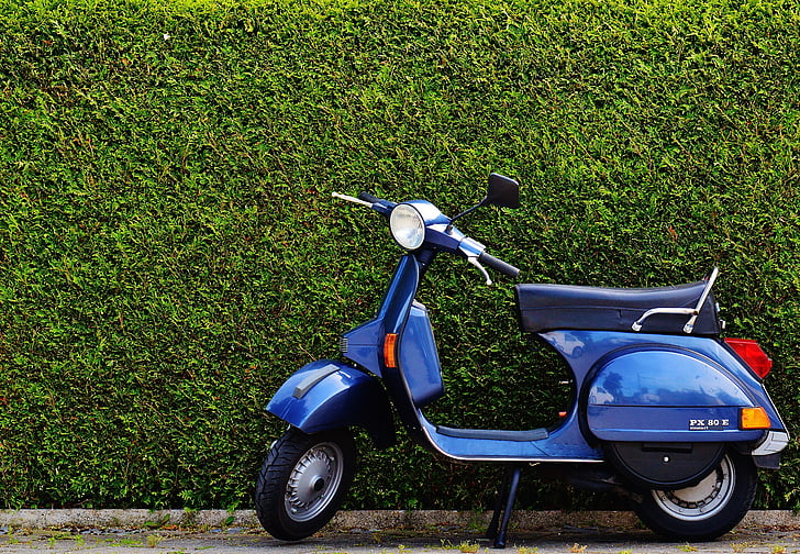 blue and black motor scooter beside hedge