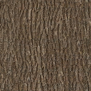 bark, wood, tree, seamless, texture, albedo
