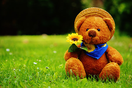 teddy bear with sunflower sitting on the grass
