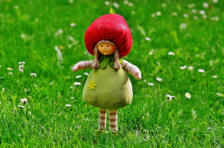 red and green plush toy on green grass field