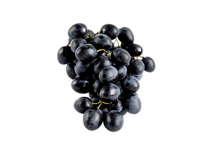 grapes illustration