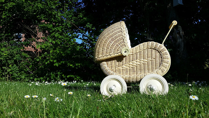 gray woven bassinet on green grass field at daytime
