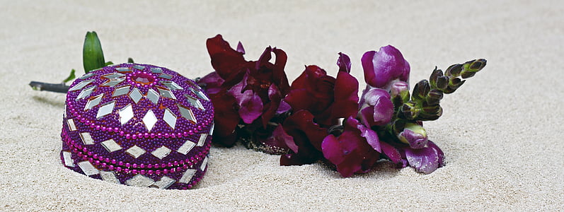 purple flower beside round purple case
