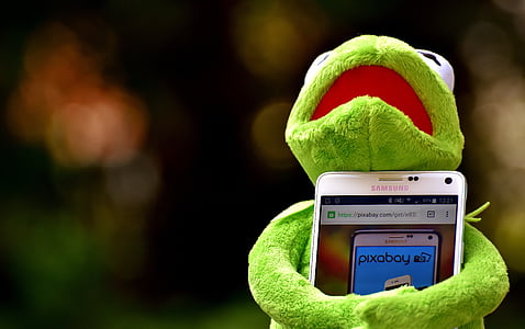 selective focus photography Kermit the Frog hogging white Samsung Android smartphone turned on
