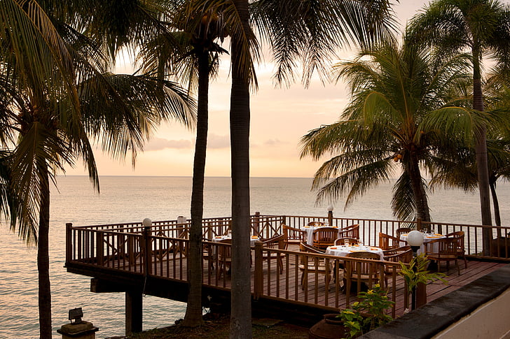 brown wooden deck near palm trees and body of water