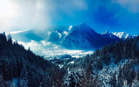 mountain near pine trees during winter season