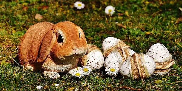 brown ceramic rabbit figurine beside white chamomiles at daytime