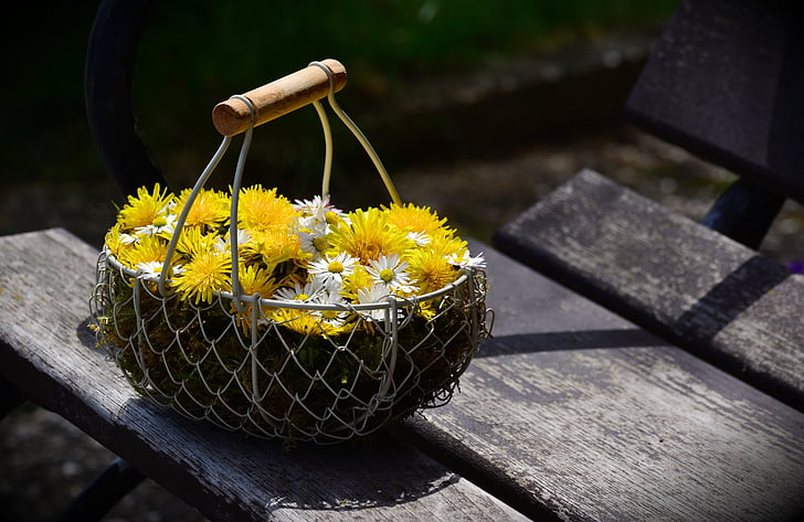 yellow and white flowers in gray steel basket
