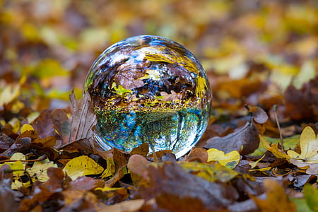 crystal ball surrounded by dried leaves