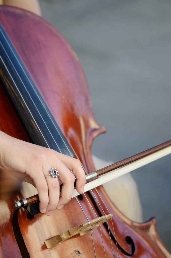 closeup photo of person holding violin and bow
