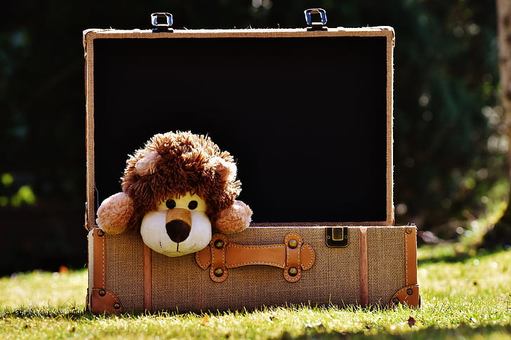 brown lion plush toy in briefcase