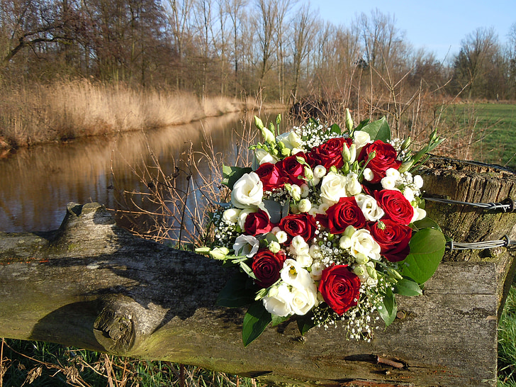 white and red rose bouquet on tree trunk