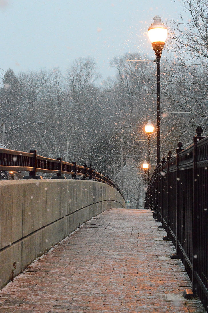 gray and brown concrete footbridge near lighted street posts at snowy day
