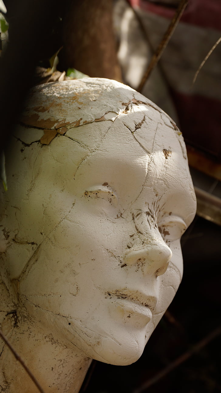 closeup of white head bust