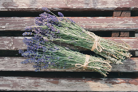 two bundles of lavenders