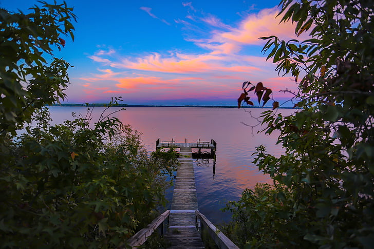brown and white sea dock between trees under orange and blue sky