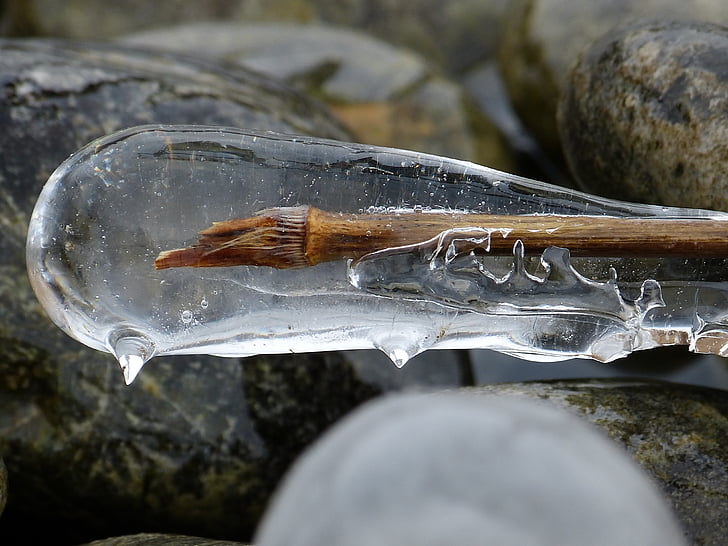 brown wooden stick covered with ice