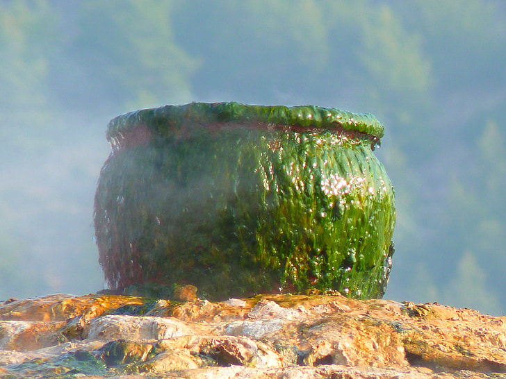 shallow photography of green bowl