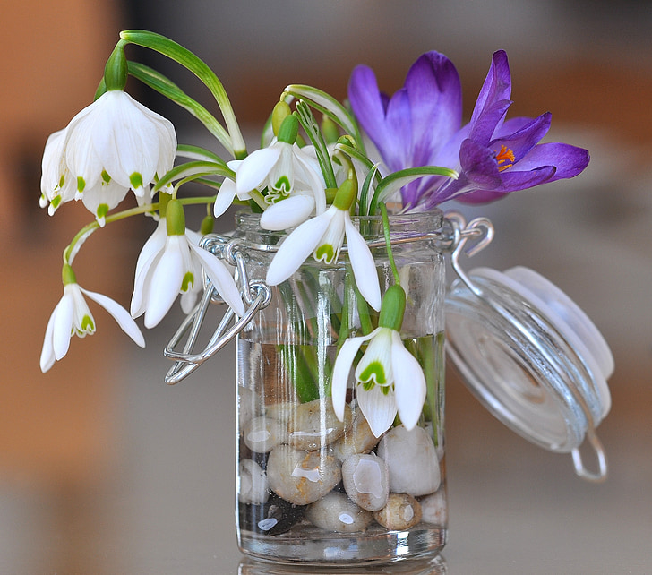 white-and-purple flowers on clear glass vase