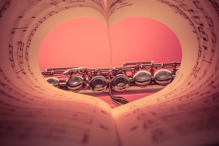 silver-colored clarinet through heart bend book view