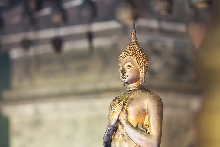 gold-colored buddha figurine